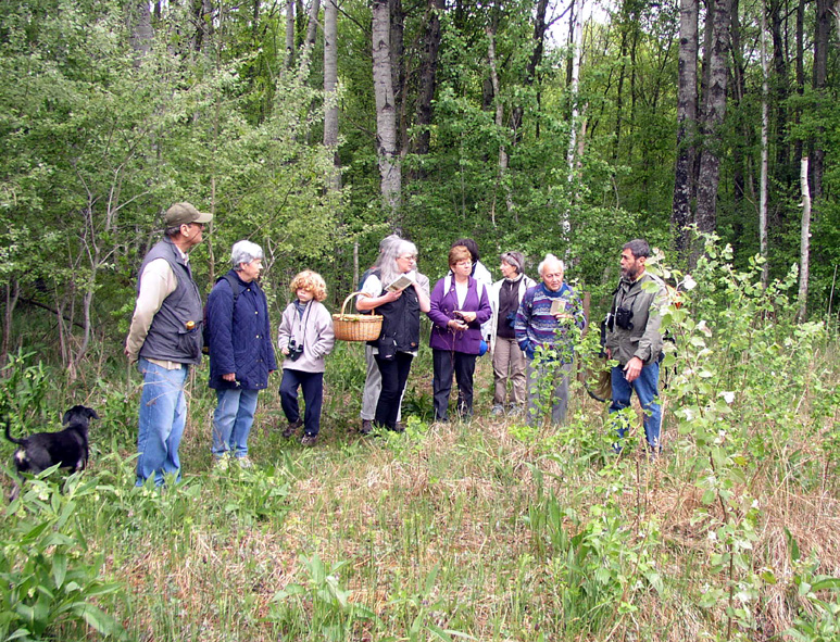 2009-05-Marais de la Voise